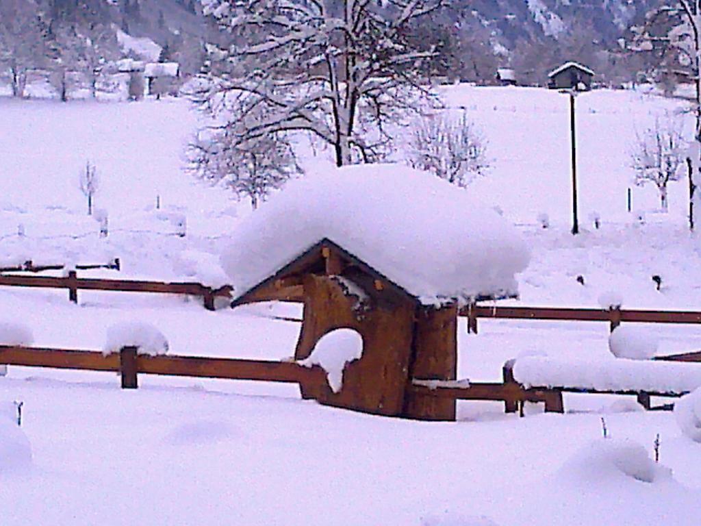 Moarbauer Villa Dorfgastein Exterior foto